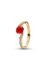 Gold Princess Ring Set