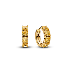 Yellow Hoop Earrings - 14k gold plating
