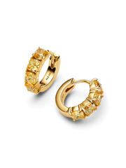 Yellow Hoop Earrings - 14k gold plating