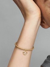 Aquarius Zodiac Dangle Charm - 14k gold plating