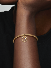 Aries Zodiac Dangle Charm - 14k gold plating