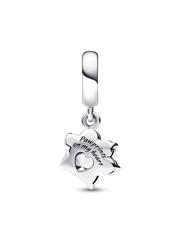 Sparkling Pet Paw Print Dangle Charm - Sterling silver