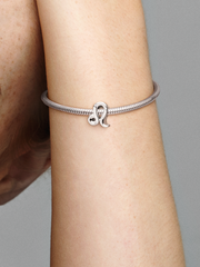 Sparkling Leo Zodiac Charm - Sterling silver