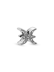 Sparkling Pisces Zodiac Charm - Sterling silver