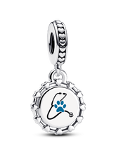 FINAL SALE - Veterinarian Dangle Charm - Sterling silver