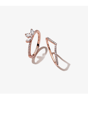 Sparkling Herbarium Cluster and Wish Ring Set