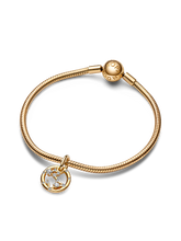 Pisces Zodiac Dangle Charm Bracelet Set