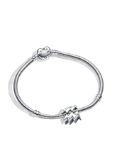 Aquarius Zodiac Charm Bracelet Set