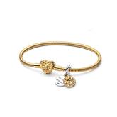 My Pandora Two Tone Daisy Dangle Charm Bracelet Set