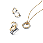 Entwined together necklace set