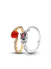Two-Tone Beauty and the Beast Ring Set