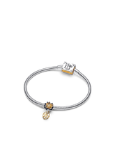 Elevated Tiana Charm Bracelet Set