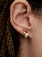 Organically Shaped Oval & Treated Freshwater Cultured Pearl Stud Earrings - 14k gold plating