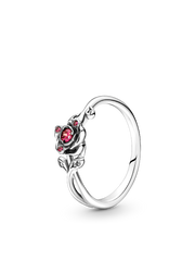 Two-Tone Beauty and the Beast Ring Set