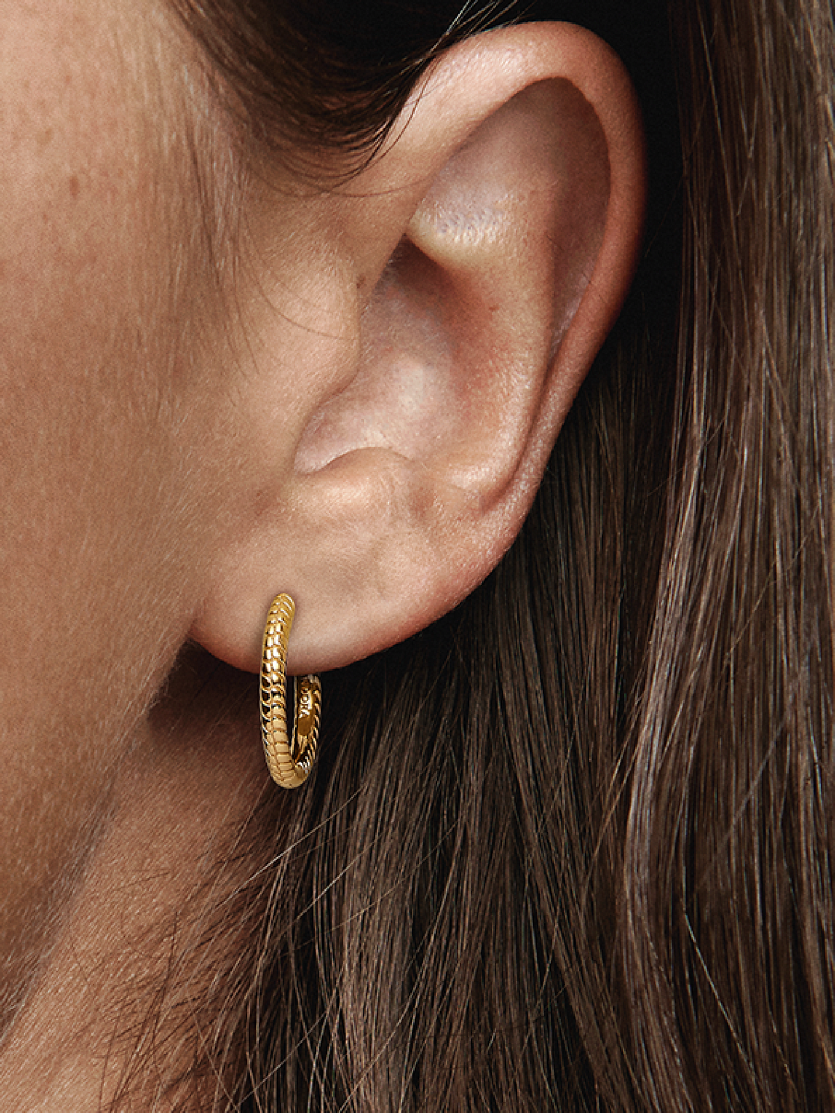Pandora Moments Small Charm Hoop Earrings - 14k gold plating