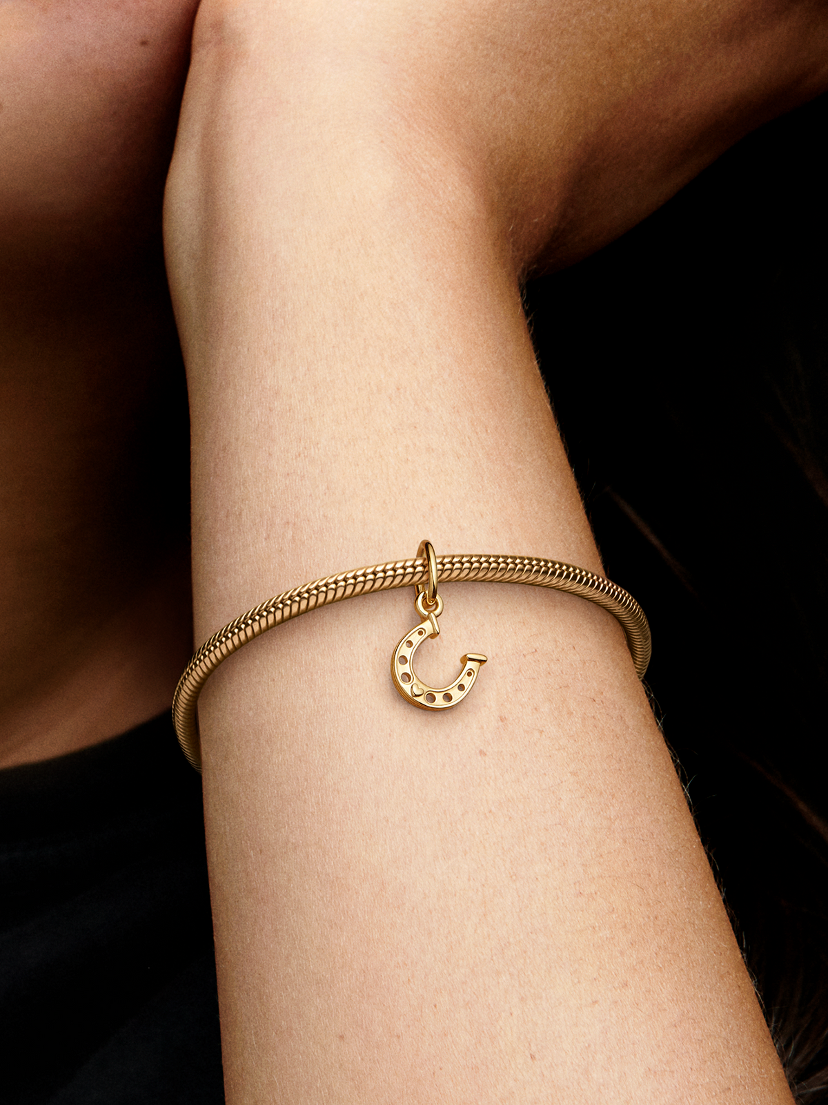 Lucky Horseshoe Dangle Charm - 14k gold