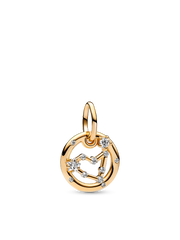 Capricorn Zodiac Dangle Charm Bracelet Set