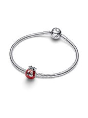 Lucky Bag Charm - Sterling silver