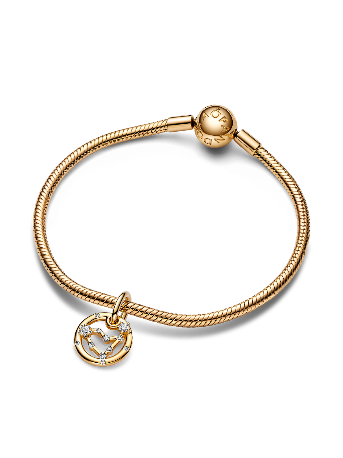 Capricorn Zodiac Dangle Charm Bracelet Set
