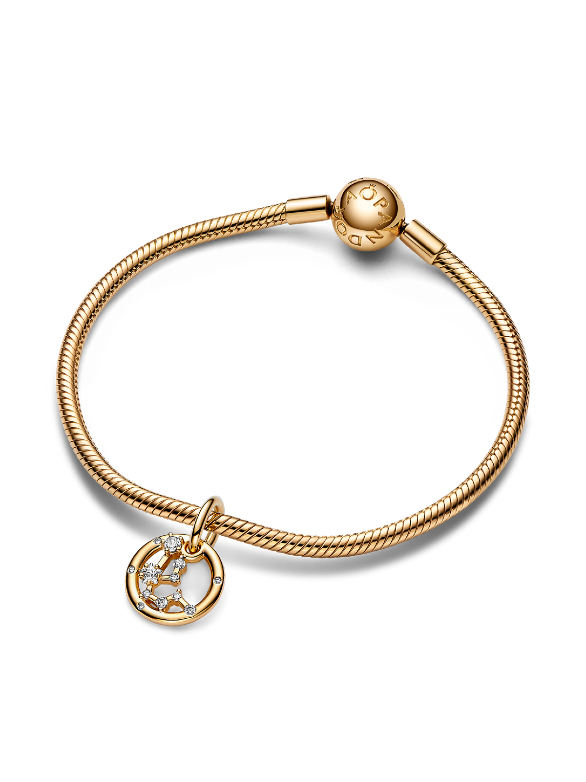 Aquarius Zodiac Dangle Charm Bracelet Set