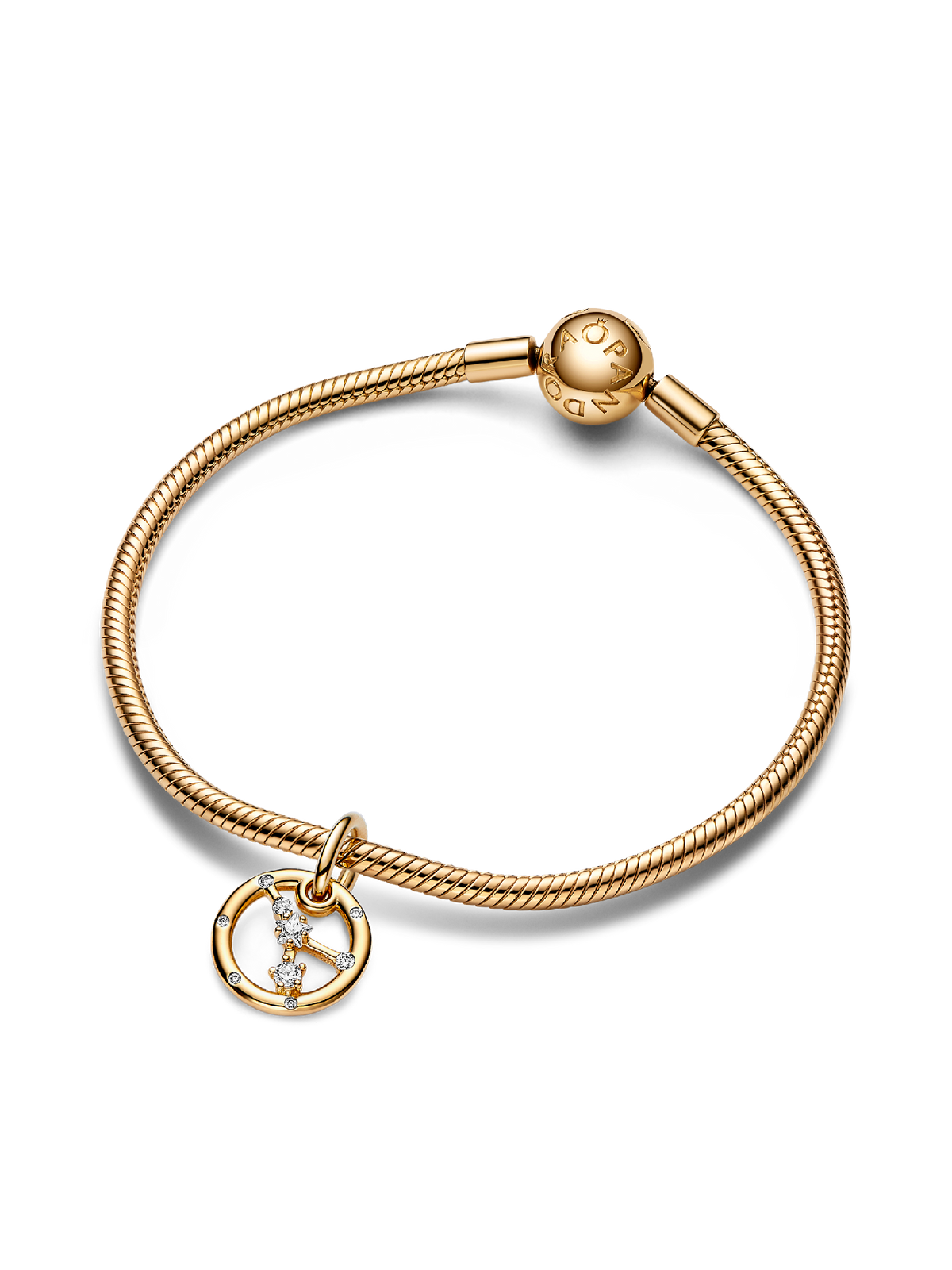 Cancer Zodiac Dangle Charm Bracelet Set