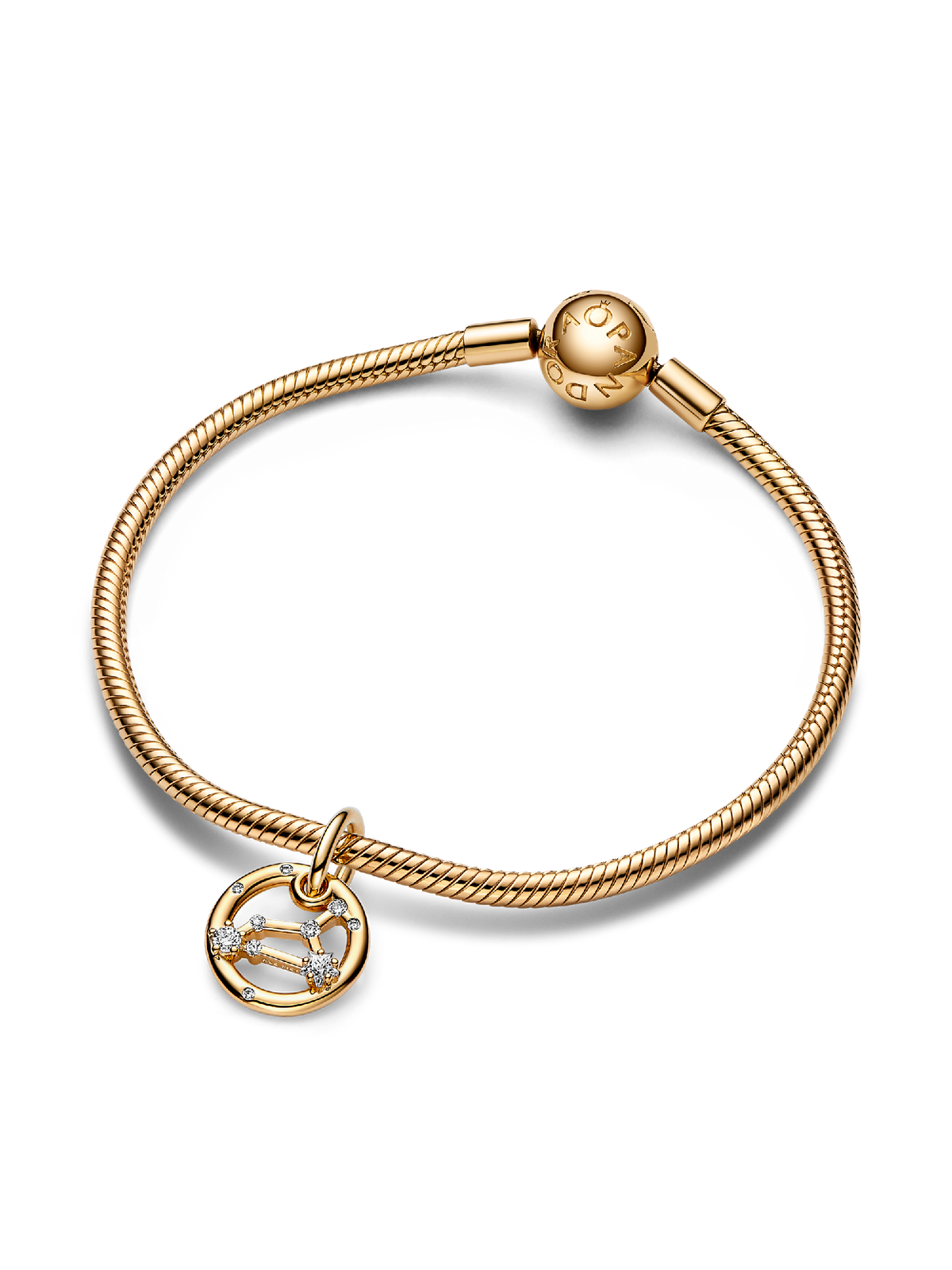Leo Zodiac Dangle Charm Bracelet Set