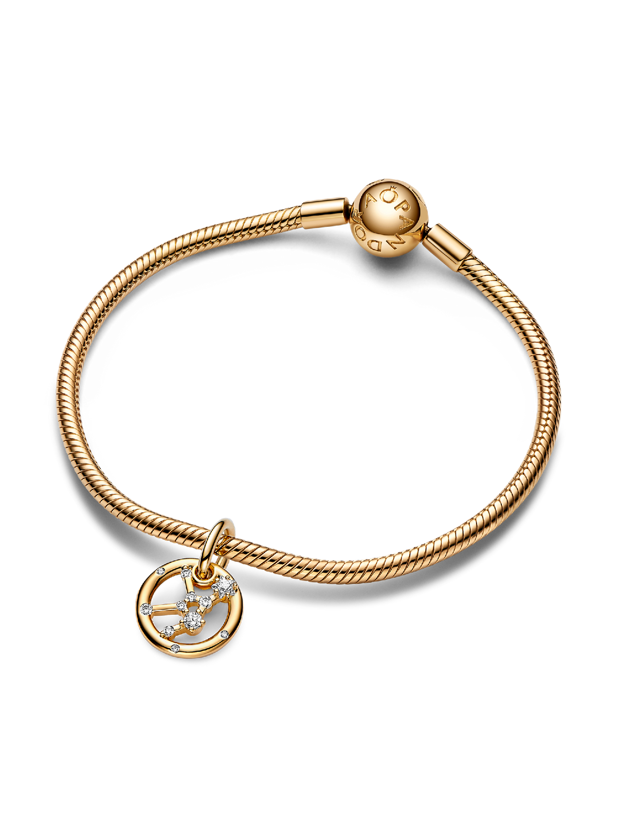 Virgo Zodiac Dangle Charm Bracelet Set