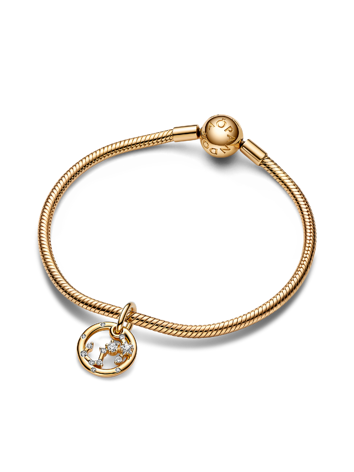 Scorpio Zodiac Dangle Charm Bracelet Set