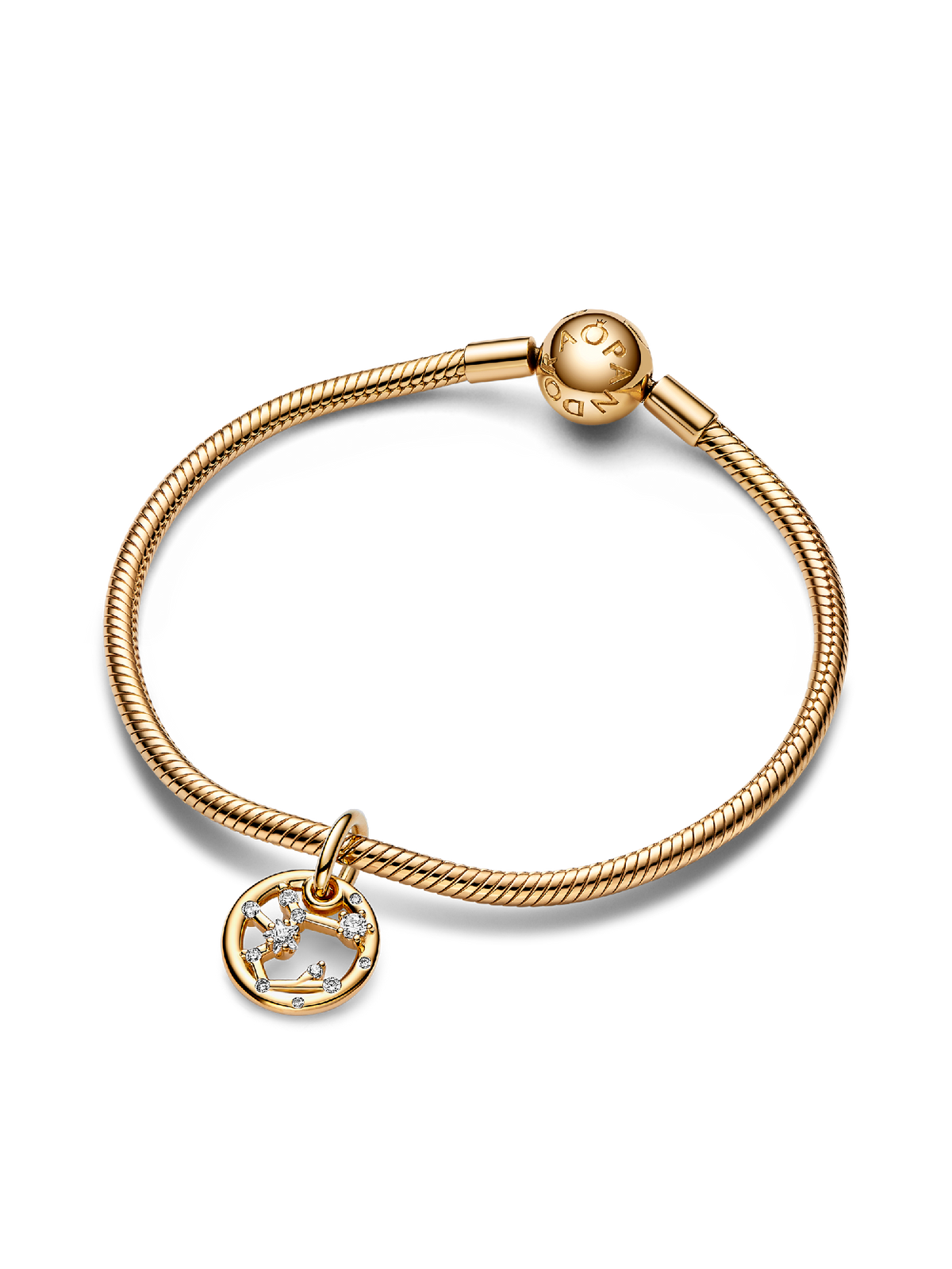 Sagittarius Zodiac Dangle Charm Bracelet Set
