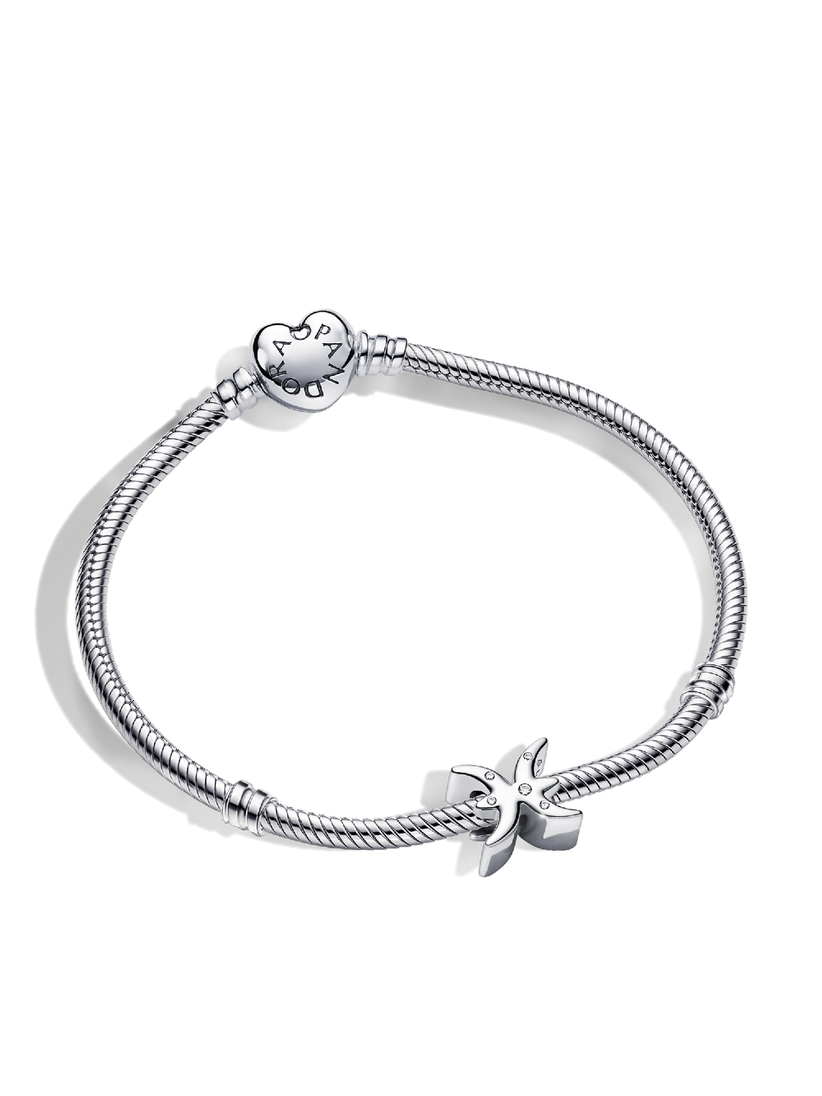 Pisces Zodiac Charm Bracelet Set