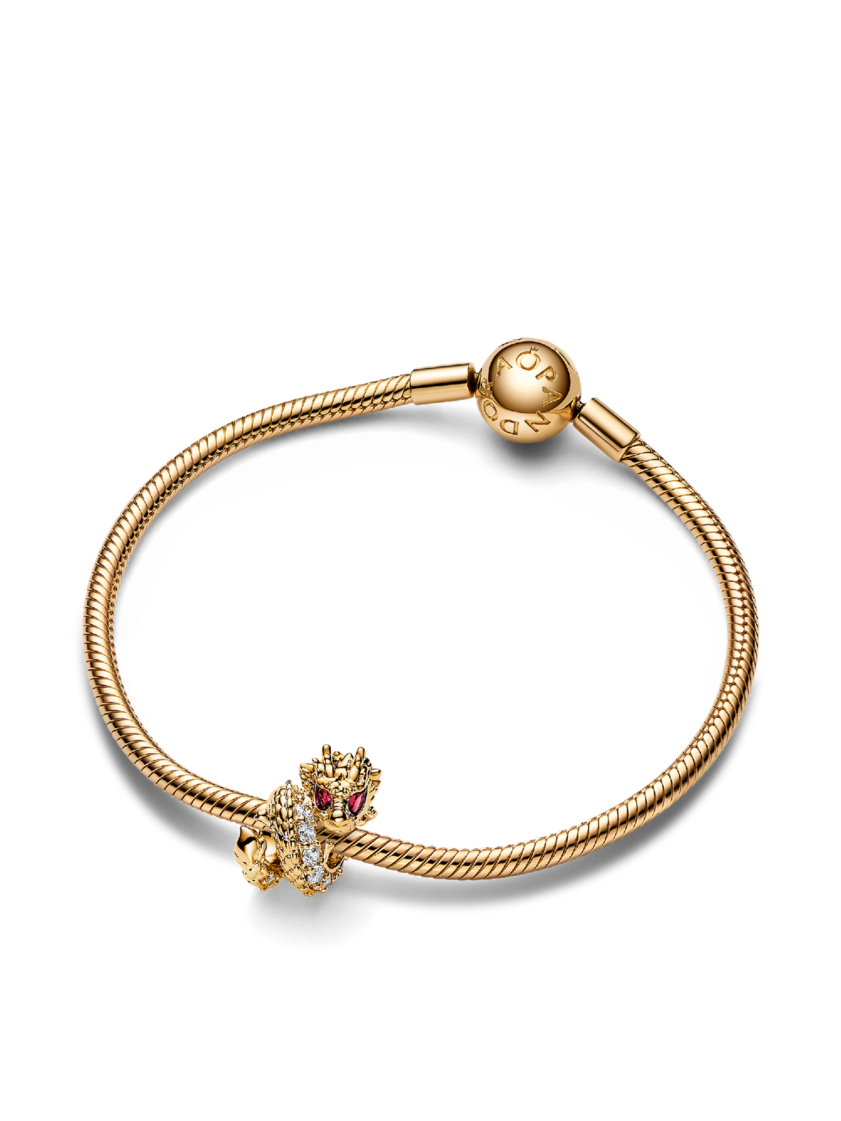 Dragon Charm Bracelet Set
