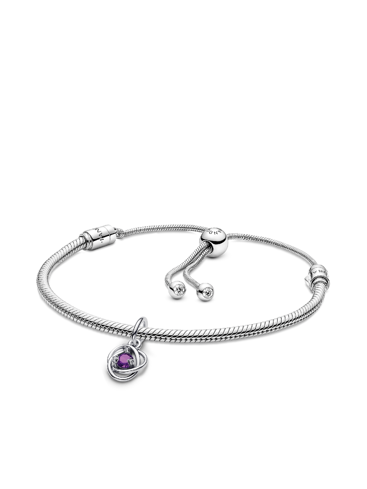 February Eternity Circle Dangle Charm Bracelet Set