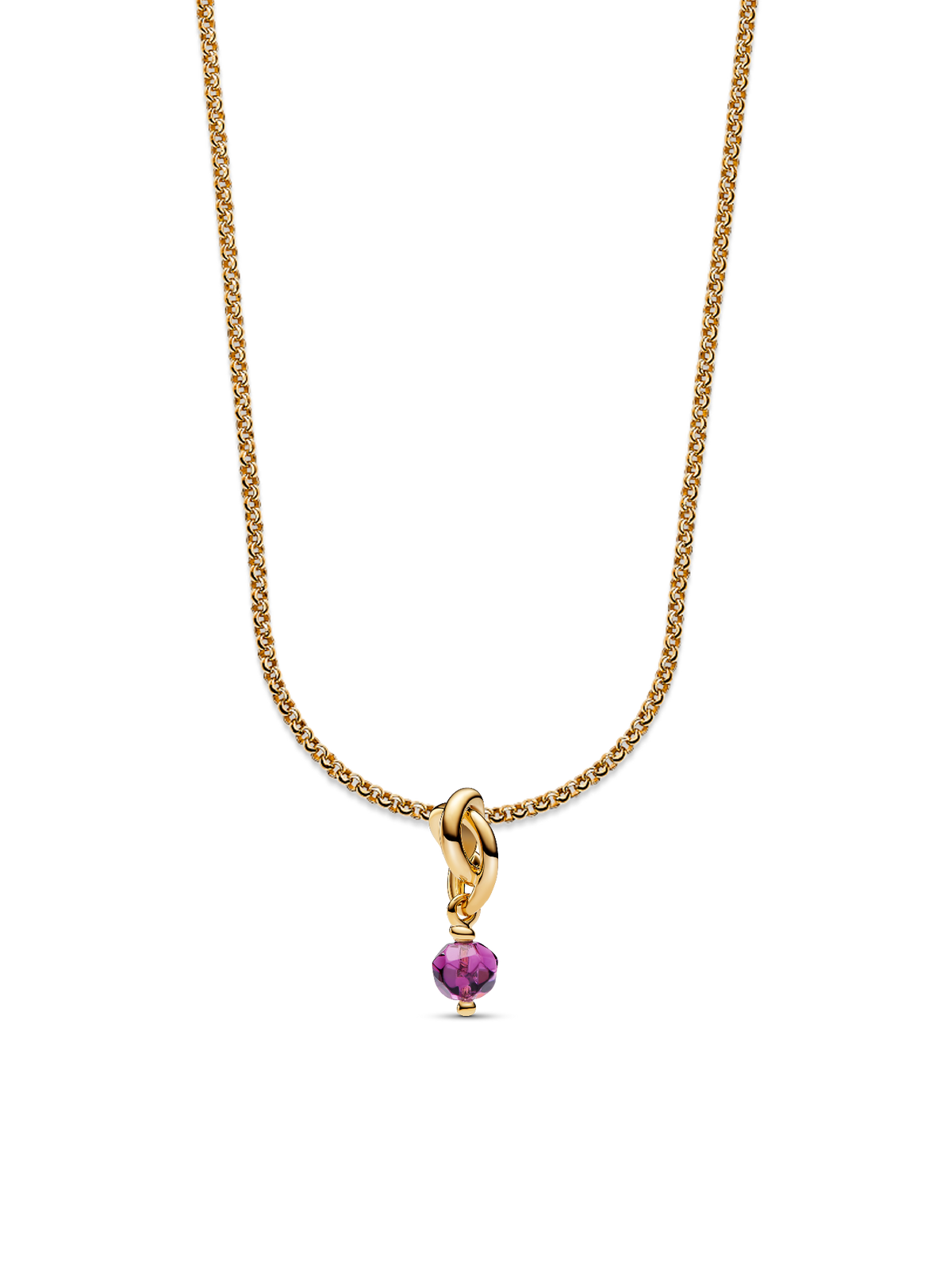 February Eternity Circle Dangle Charm Necklace Set