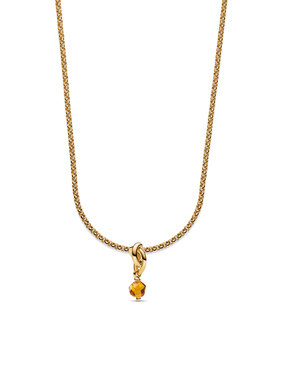 November Eternity Circle Dangle Charm Necklace Set
