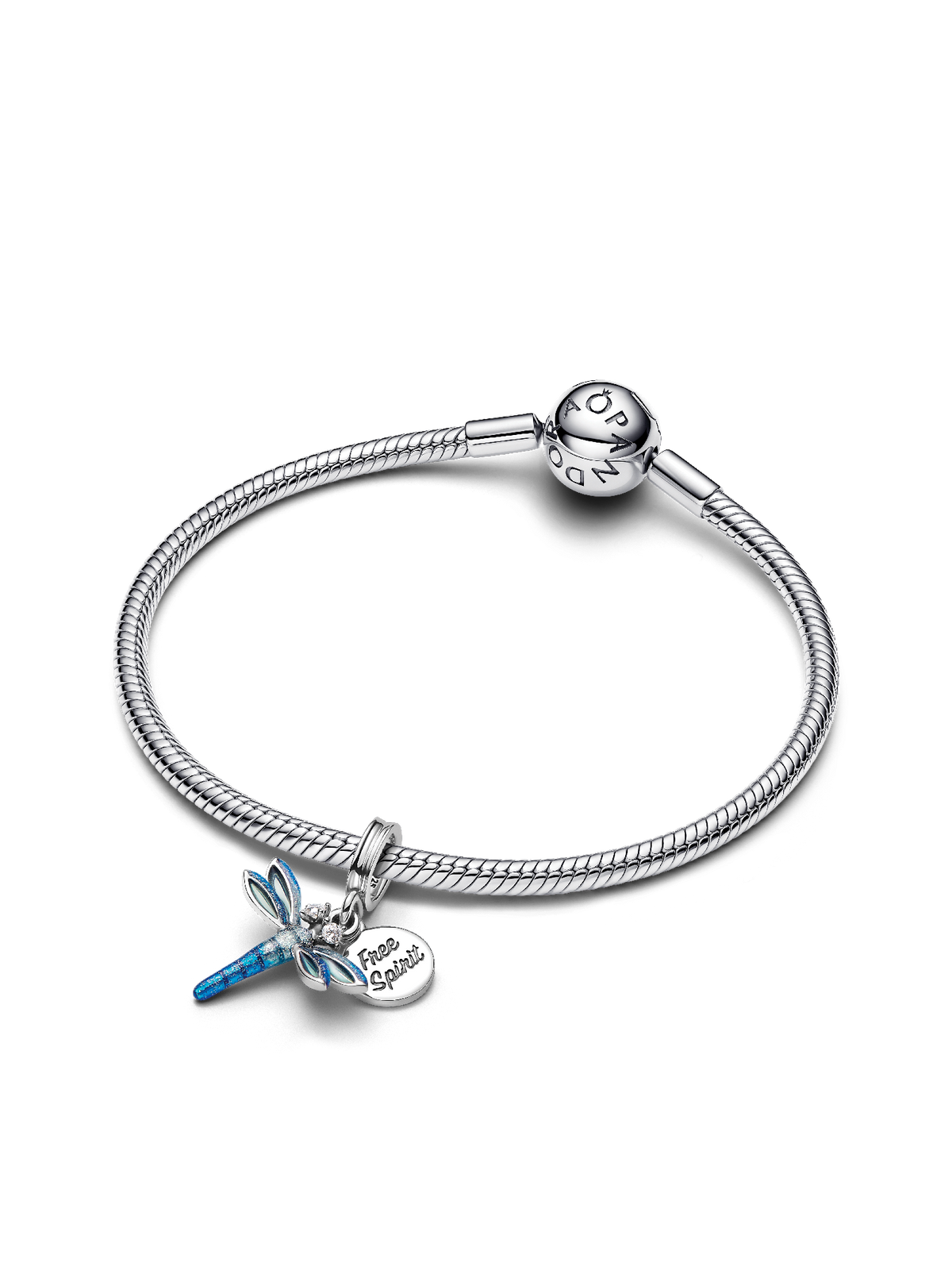 Dragonfly Dangle Charm Bracelet Set