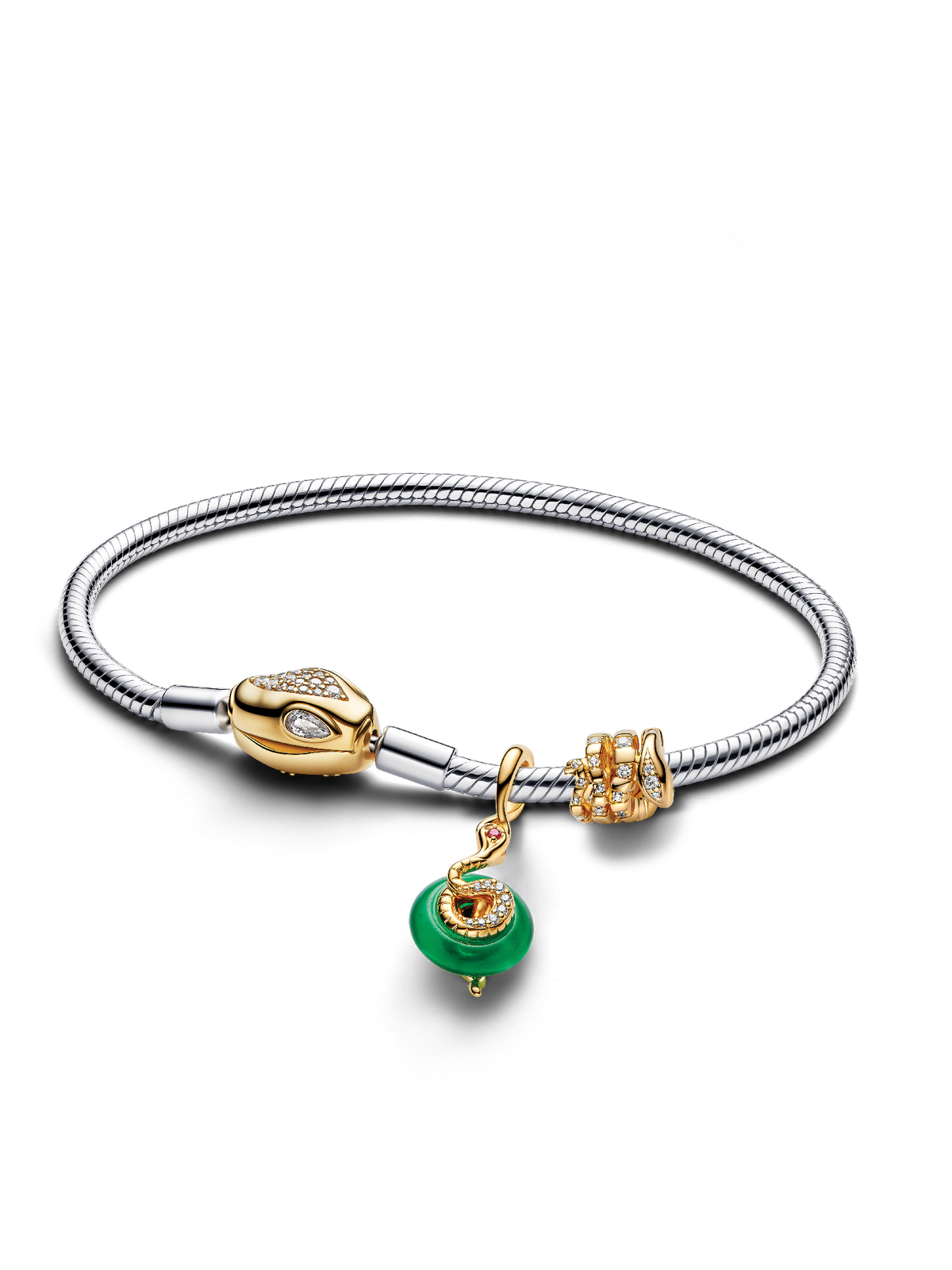 Lunar New Year Snake Clasp & Chain Charm Bracelet Set