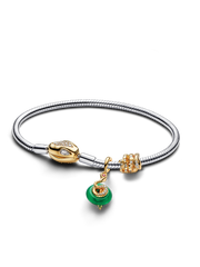 Lunar New Year Snake Clasp & Chain Charm Bracelet Set
