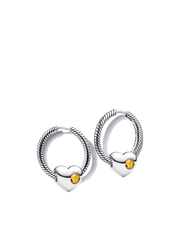 November Charm Earring Set